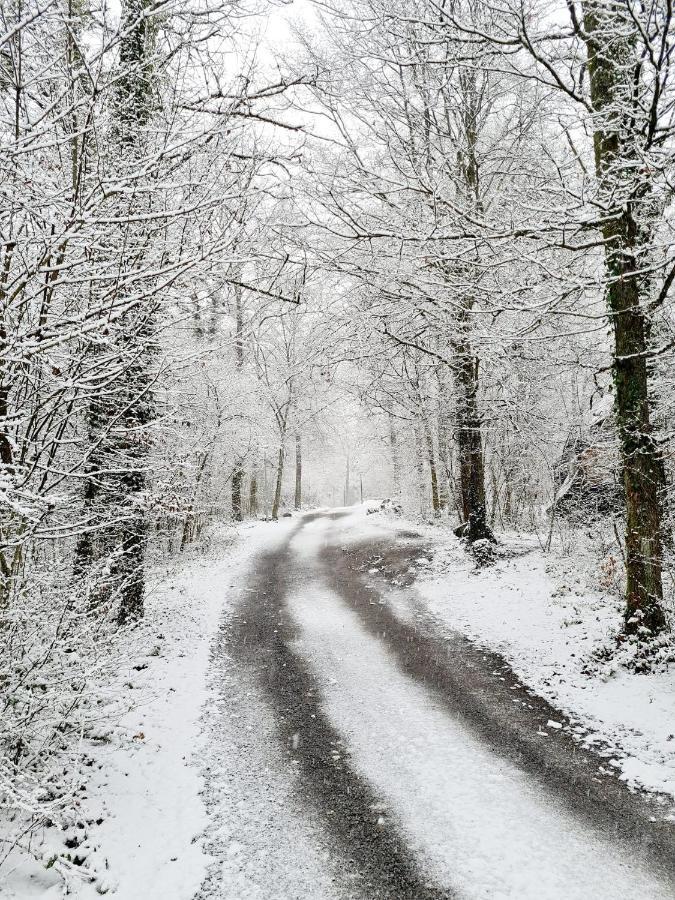 Vila Het Boshuisje In Durbuy Exteriér fotografie