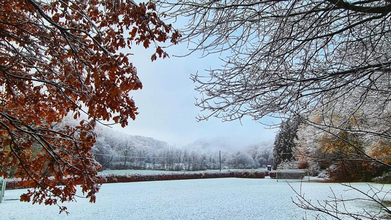 Vila Het Boshuisje In Durbuy Exteriér fotografie