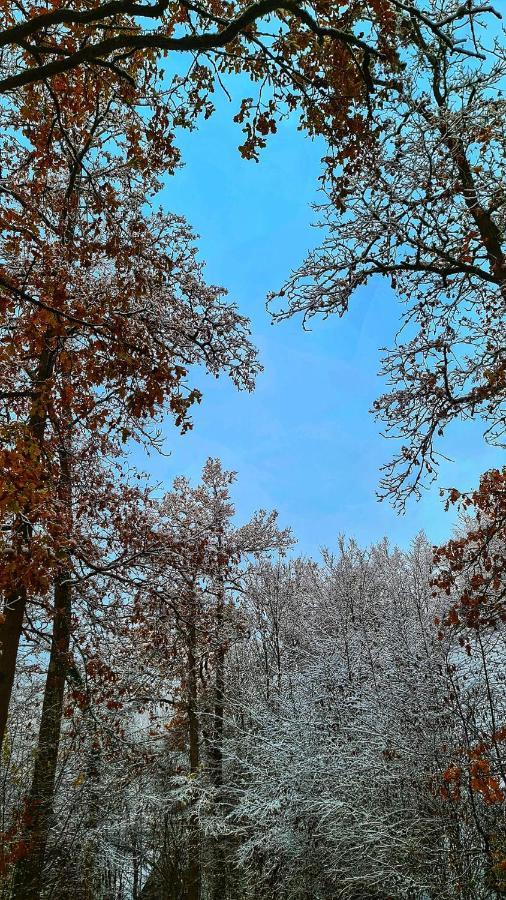 Vila Het Boshuisje In Durbuy Exteriér fotografie