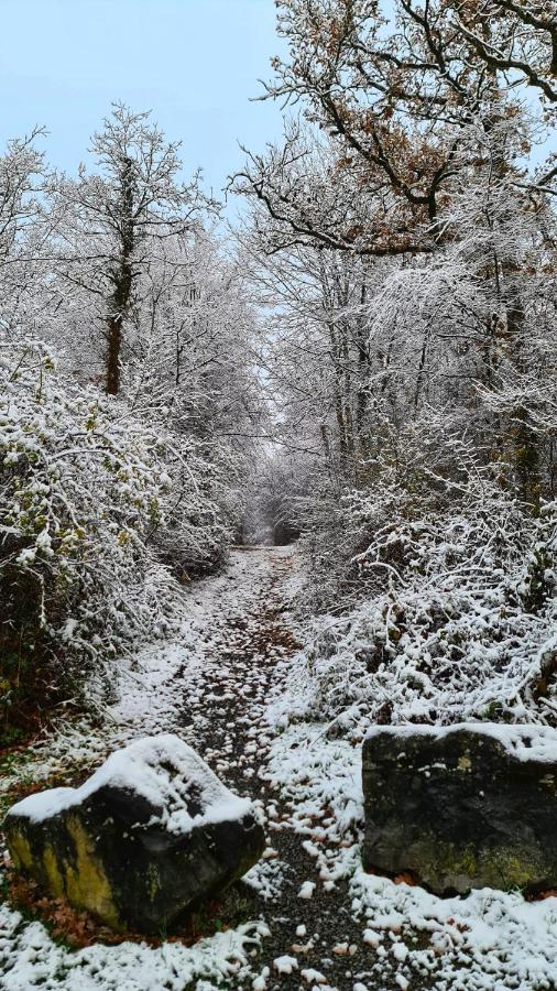 Vila Het Boshuisje In Durbuy Exteriér fotografie
