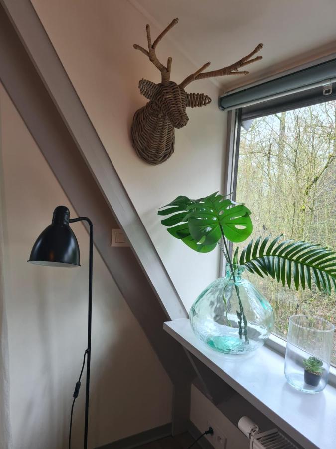 Vila Het Boshuisje In Durbuy Exteriér fotografie